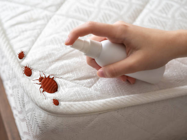 Best Commercial Pest Control Services  in Notasulga, AL