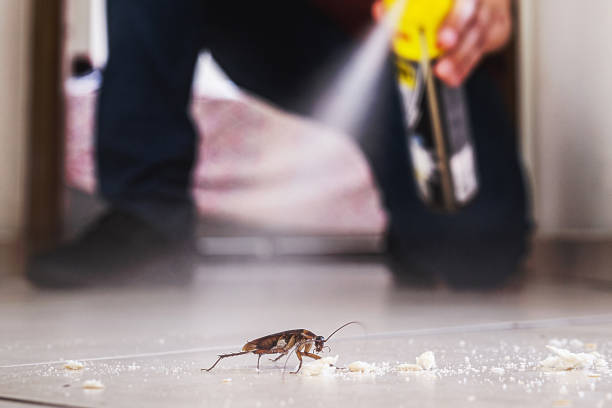 Best Flea Control Services  in Notasulga, AL