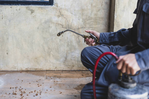 Best Best Pest Control Companies  in Notasulga, AL